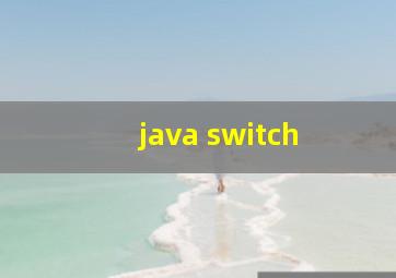 java switch 