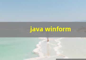 java winform