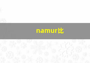 namur比