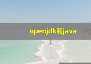 openjdk和java