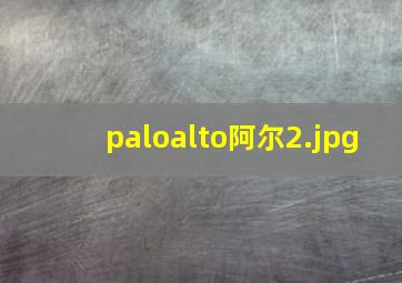 paloalto阿尔