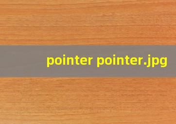 pointer pointer