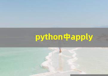 python中apply