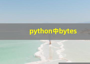 python中bytes