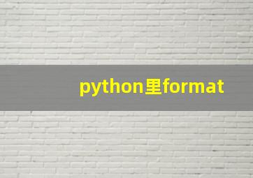 python里format