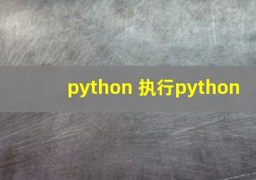 python 执行python