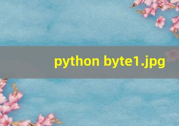 python byte