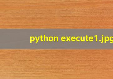 python execute