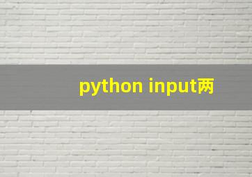 python input两