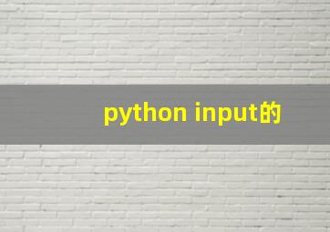 python input的