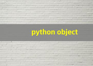 python object