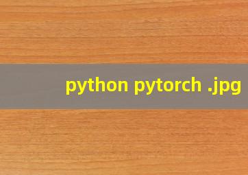 python pytorch 