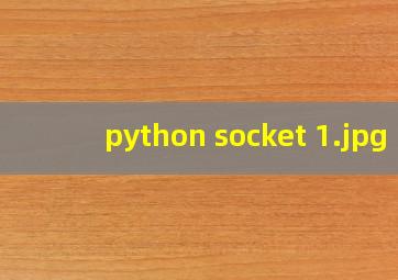 python socket 