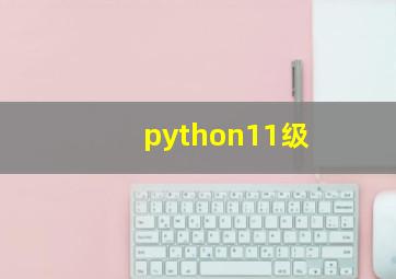 python11级