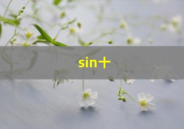sin十