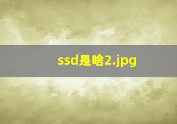 ssd是啥