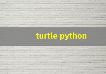 turtle python