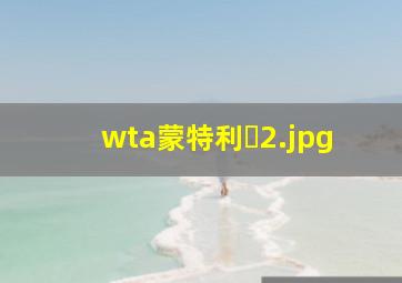wta蒙特利�