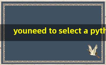 youneed to select a python inter