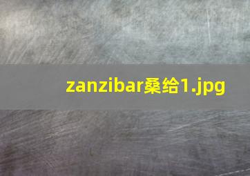 zanzibar桑给
